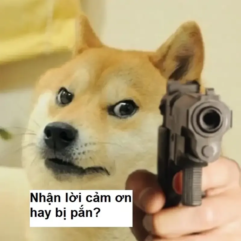 Cảm ơn bạn meme – Tri ân độc đáo và đầy hài hước dành cho bạn.