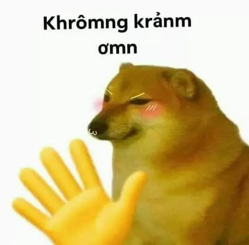 Meme quỳ lạy cảm ơn – Hài hước và chân thành đến không ngờ!