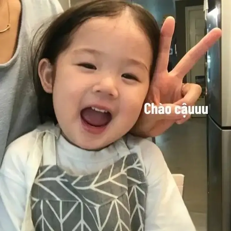 Meme mèo chào buổi sáng hài hước, mang đến tiếng cười mỗi sáng.