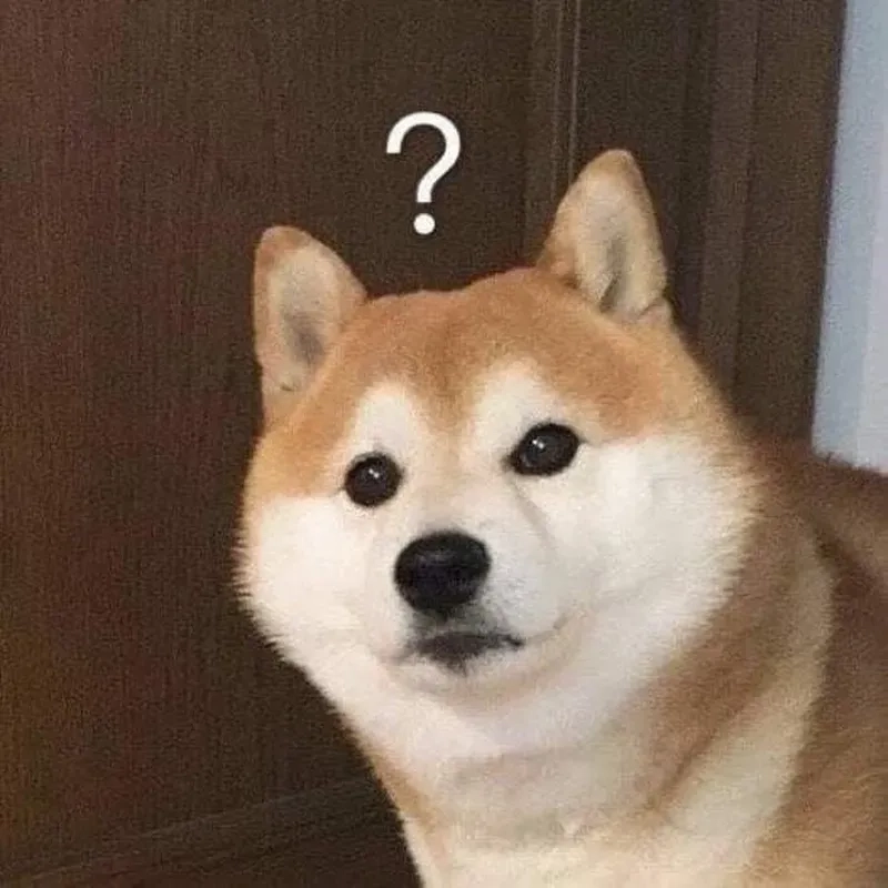 Shiba cheems meme vietnam thể hiện sự sáng tạo trong các meme về chó Shiba tại Việt Nam.