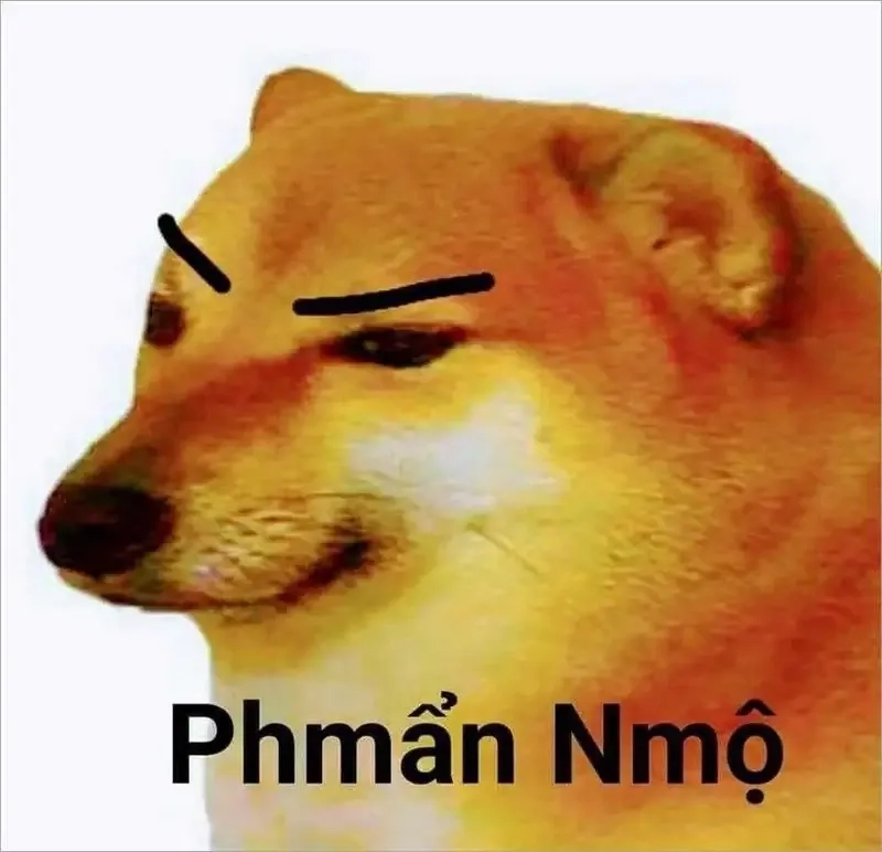 Hình ảnh chó shiba meme truyền tải sự dễ thương và vui nhộn của loài chó này.