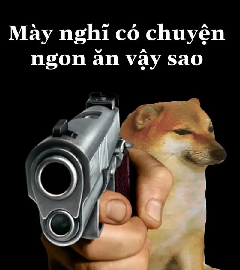 Chó cheems meme thu hút người xem nhờ vào vẻ ngoài dễ thương và những biểu cảm hài hước.