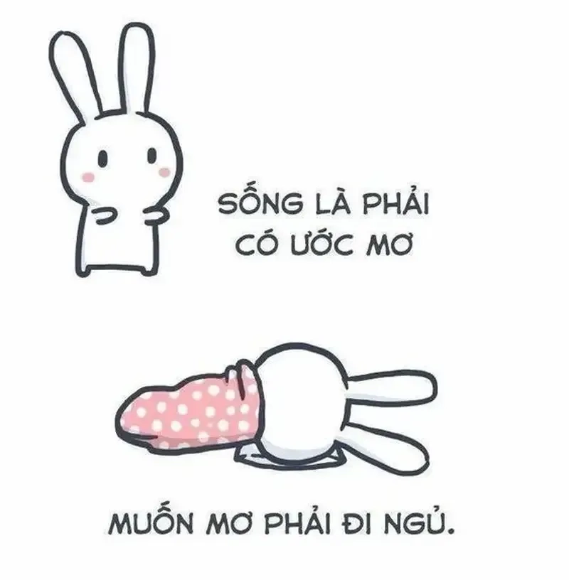 Chúc mọi người ngủ ngon với meme mèo ngủ ngon dễ thương này, rất đáng yêu!