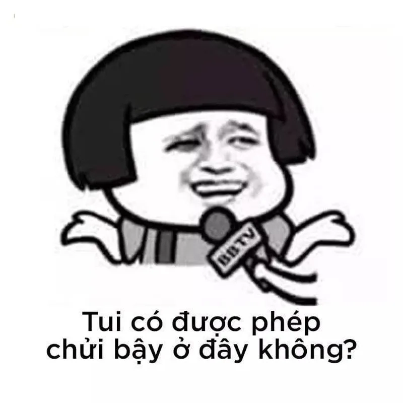 Những meme chửi người bá đạo, dành riêng cho dân chơi mạng xã hội.