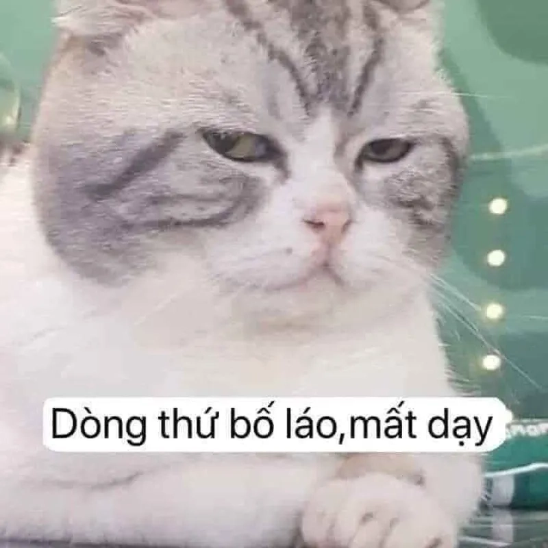 Meme chửi bạn thân lầy lội, thể hiện tình bạn 