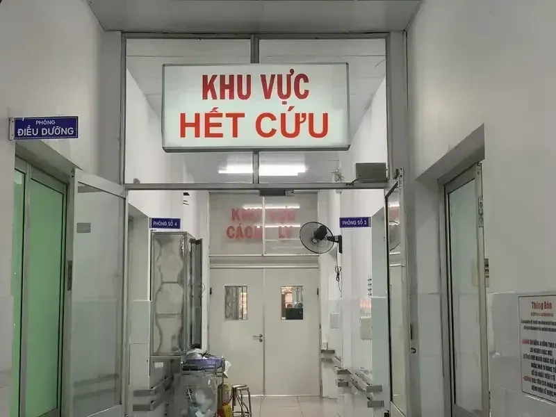 Hình nền meme hết cứu cho những ai yêu thích phong cách độc lạ.