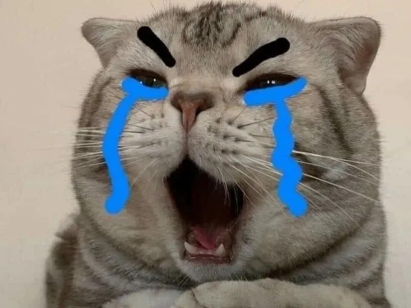 Khi nhìn thấy meme jerry crying, bạn sẽ nhớ ngay những khoảnh khắc cảm xúc nhất.