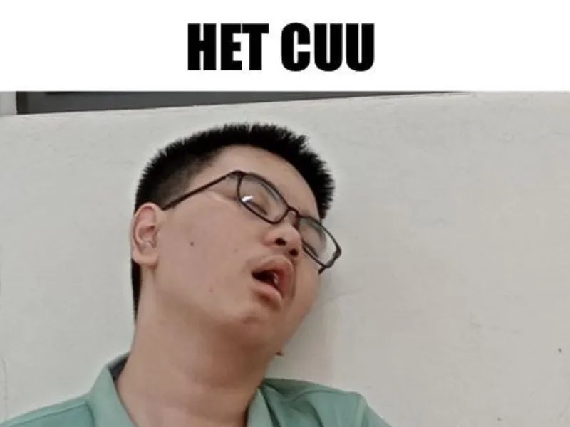 Meme cầu cứu, những hình ảnh thú vị đầy tính sáng tạo.