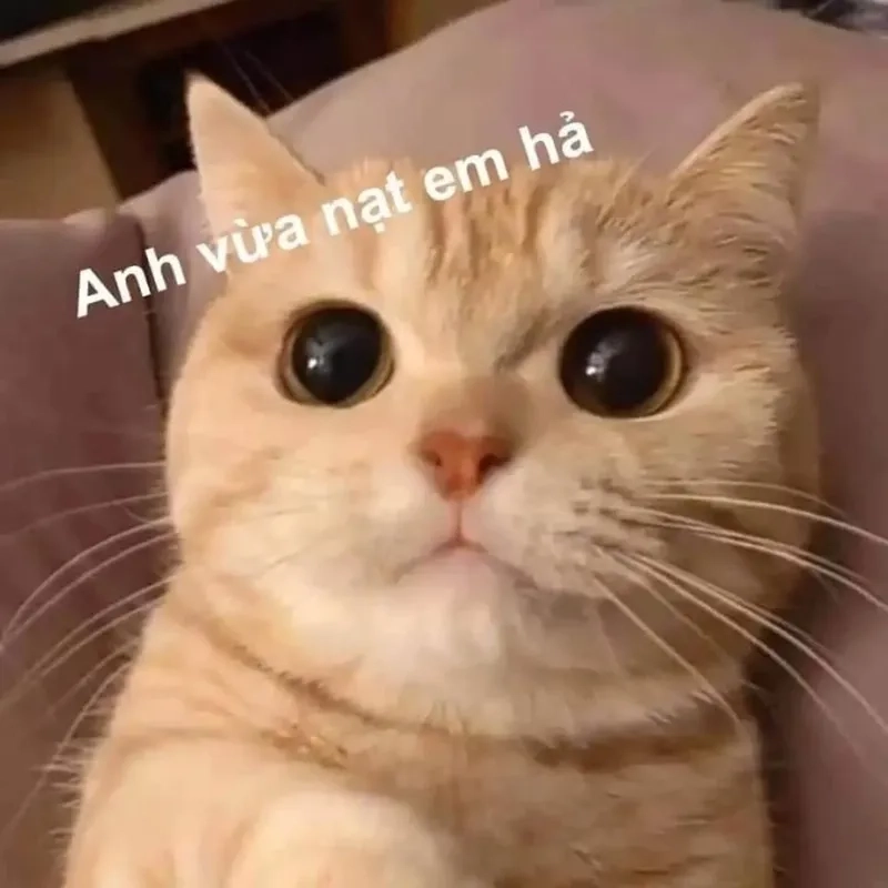 Meme ok cute ngắn gọn nhưng thể hiện sự đồng ý một cách dễ thương.