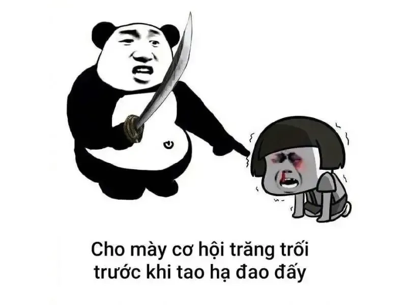 Meme gấu trúc đánh tạo nên những pha hành động cực kỳ hài hước và thú vị.