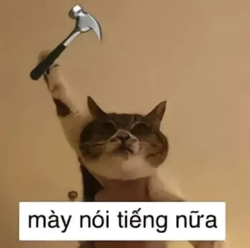 Xem ảnh meme đánh nhau sẽ khiến bạn cười sảng khoái, không thể bỏ qua.