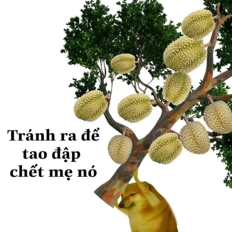 Trận chiến hài hước trong meme đánh nhau không bao giờ thiếu bất ngờ!