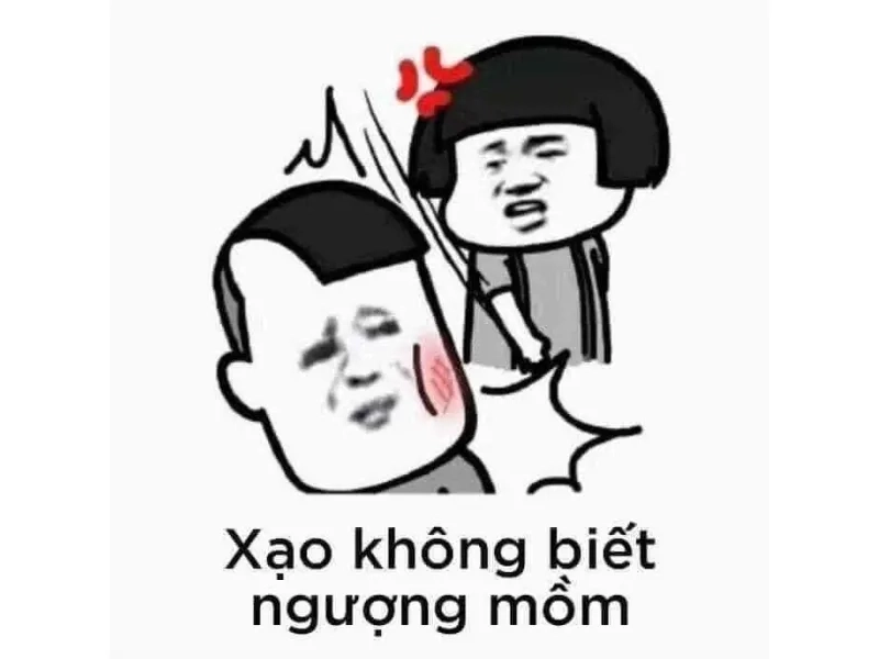 Meme đánh bài ngày tết mang đến không khí vui nhộn cho dịp Tết thêm đặc biệt.