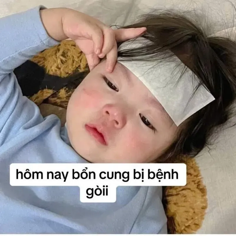 Avatar meme hài cute là điểm nhấn lý tưởng cho hồ sơ mạng xã hội của bạn.