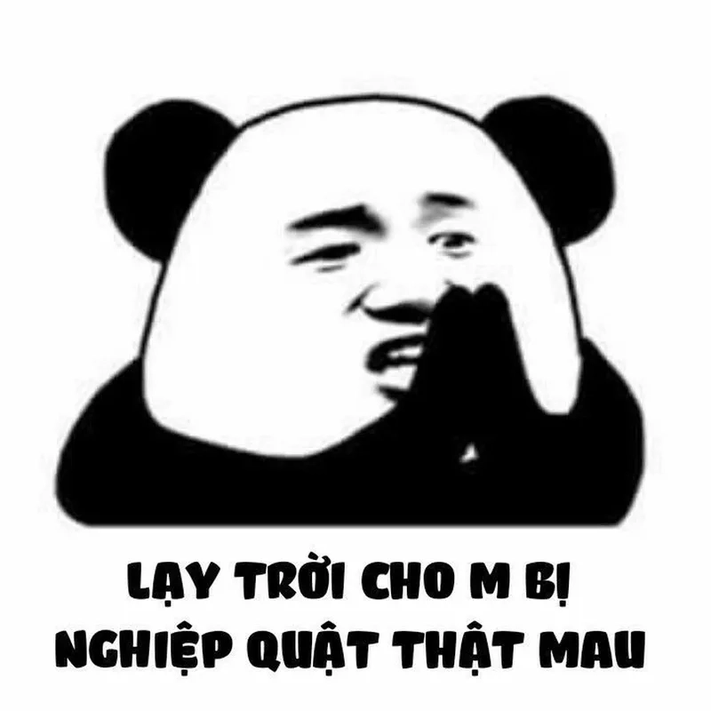 Meme gấu trúc cười dễ thương, nguồn năng lượng tích cực mỗi ngày.