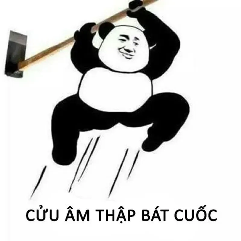 Meme hài bựa người luôn khiến bạn cười 