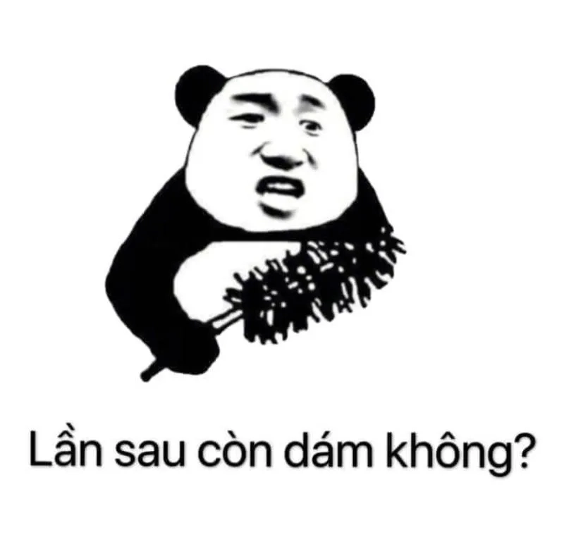 Meme con gấu Trung Quốc mang đến những giây phút thư giãn đầy hài hước.