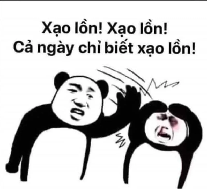 Những meme con gấu trúc Trung Quốc dễ thương khiến cộng đồng mạng thích thú.