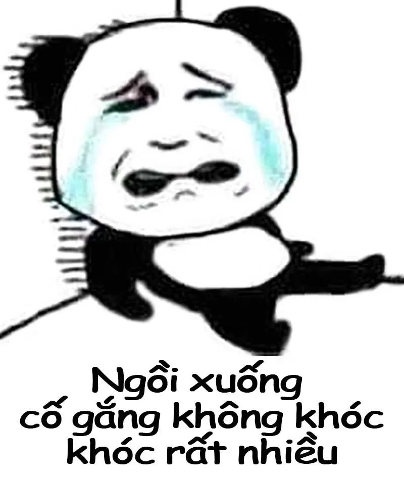 Khám phá meme gấu Trung Quốc ngộ nghĩnh và hài hước, tạo tiếng cười sảng khoái.