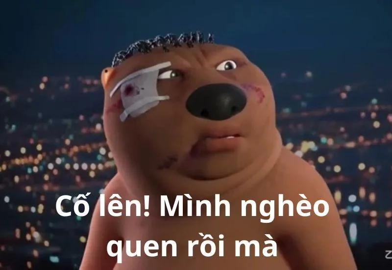 Meme gấu trúc chúc ngủ ngon mang lại cảm giác dễ chịu, với hình ảnh gấu trúc ngủ ngon lành trước khi đi ngủ.