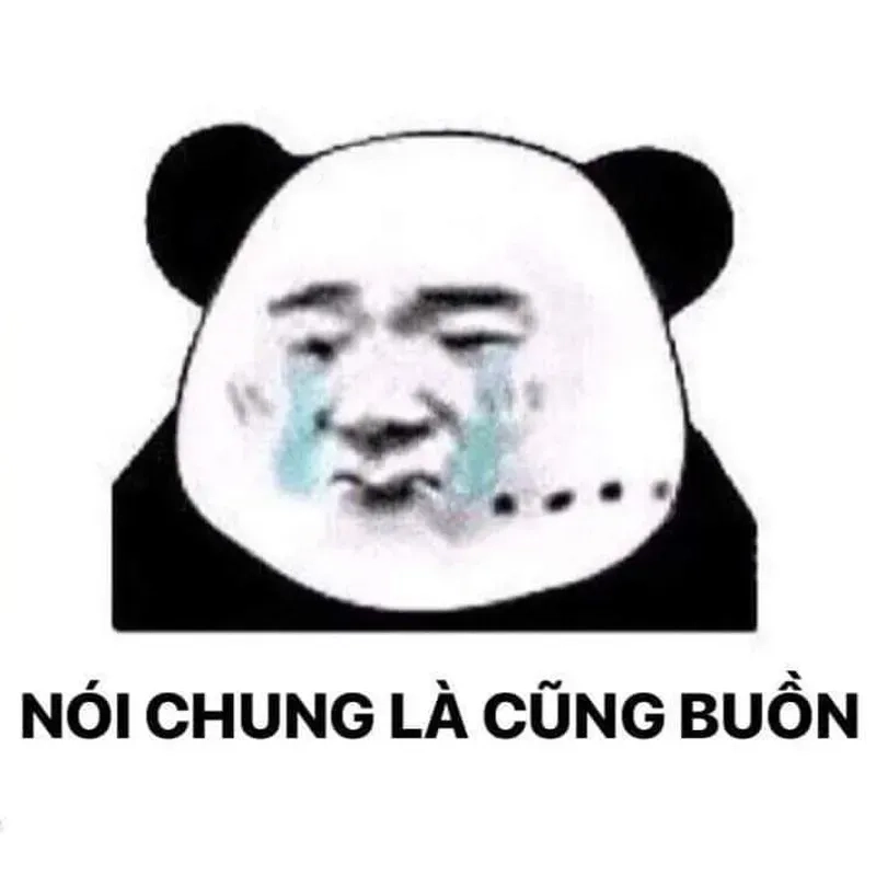 Ảnh khóc meme có thể khiến bạn không thể nhịn cười, dù chủ đề là sự buồn bã.