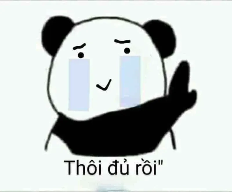 Gấu trúc mắt thâm meme khiến người xem phải bật cười vì đôi mắt 