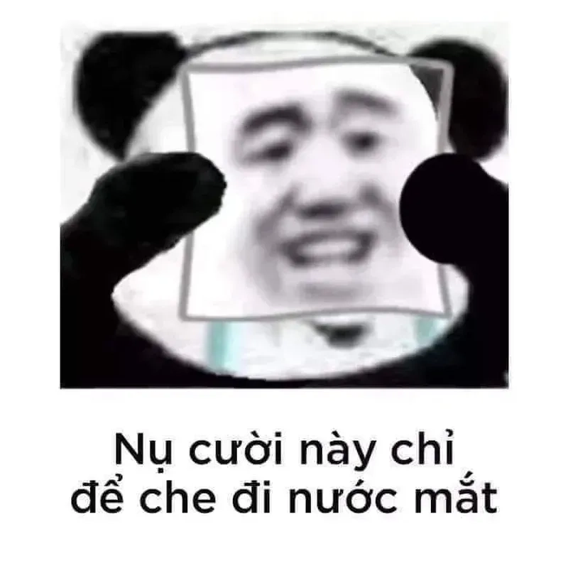 Meme mắt gấu trúc là những khoảnh khắc 