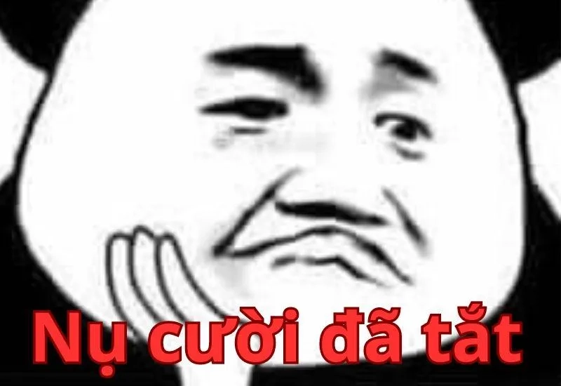 Meme gấu trúc troll face cực kỳ thú vị, với gấu trúc đang làm 