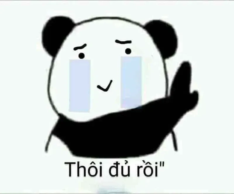 Mèo meme ok dễ thương và ngộ nghĩnh khiến bạn không thể rời mắt