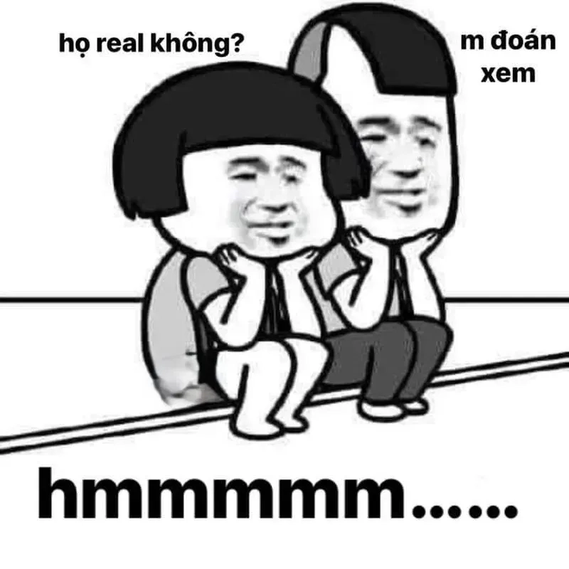 Ảnh chế meme mèo bựa với dáng há miệng siêu dễ thương khiến bạn không thể nhịn cười.