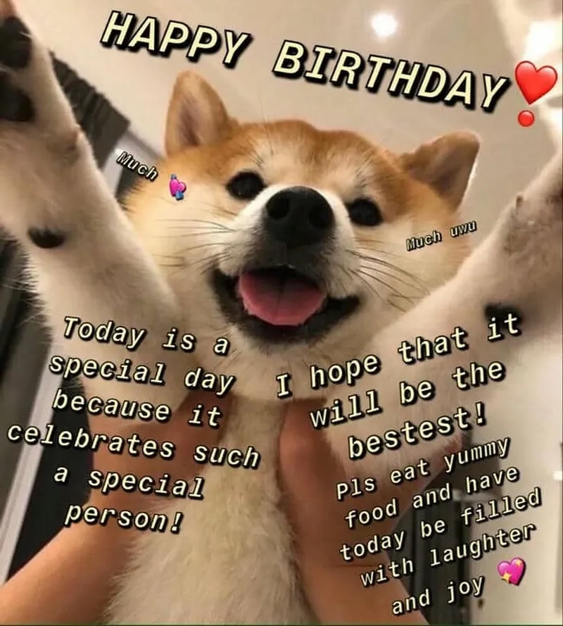 Meme cat happy birthday ngộ nghĩnh, làm quà tặng ngày sinh nhật thêm ấn tượng.