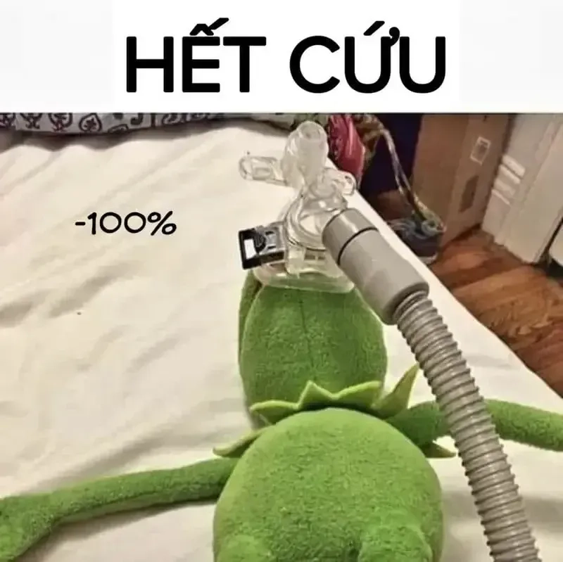 Cứu tui meme là nguồn cảm hứng bất tận cho cộng đồng mạng.