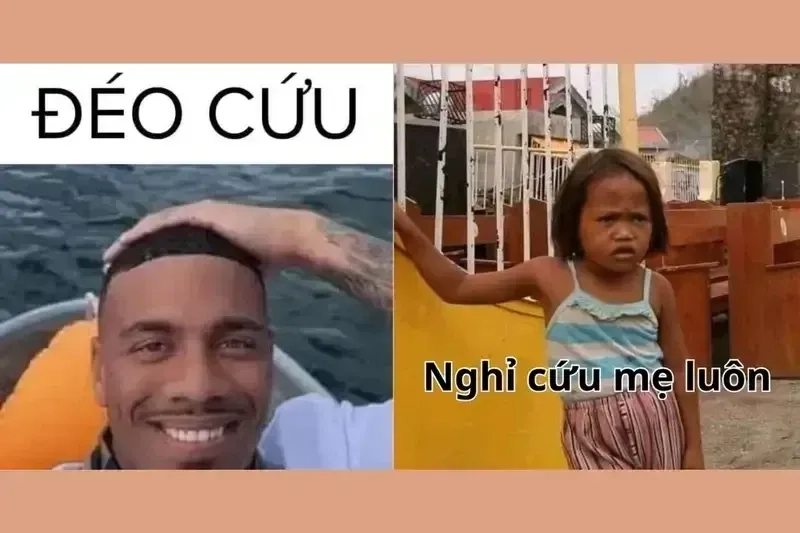 Khỏi cứu meme, xem là cười, không xem là tiếc nuối cả ngày.