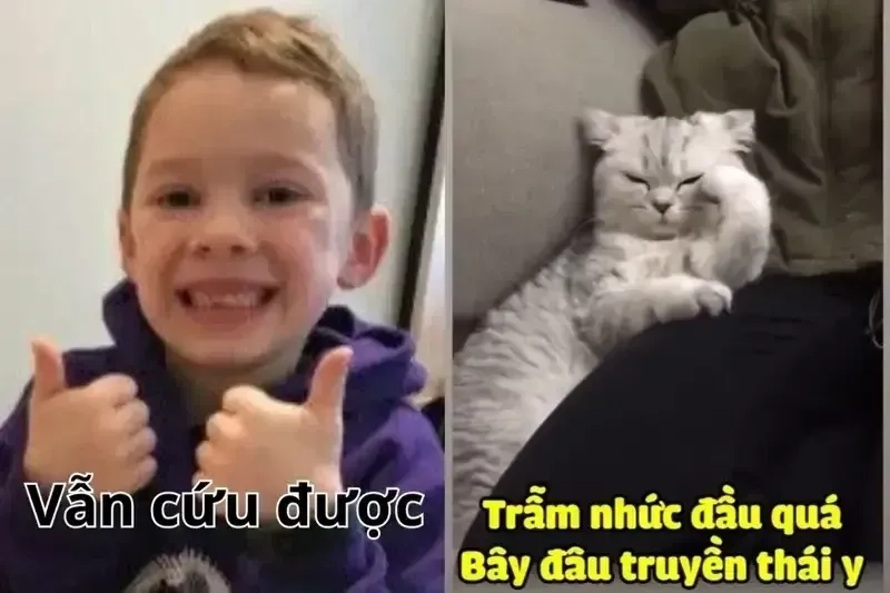 Meme cứu tui khiến bạn không thể nhịn được cười vì sự bá đạo.