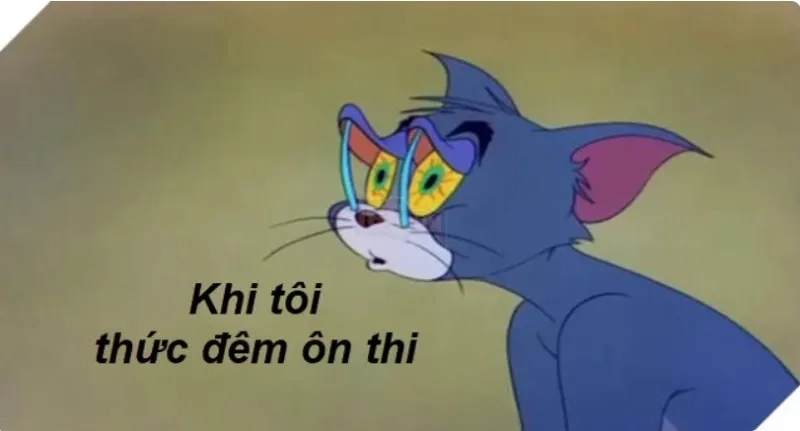 Tìm kiếm meme Tom và Jerry sẽ mang đến những pha hài hước không thể bỏ lỡ!