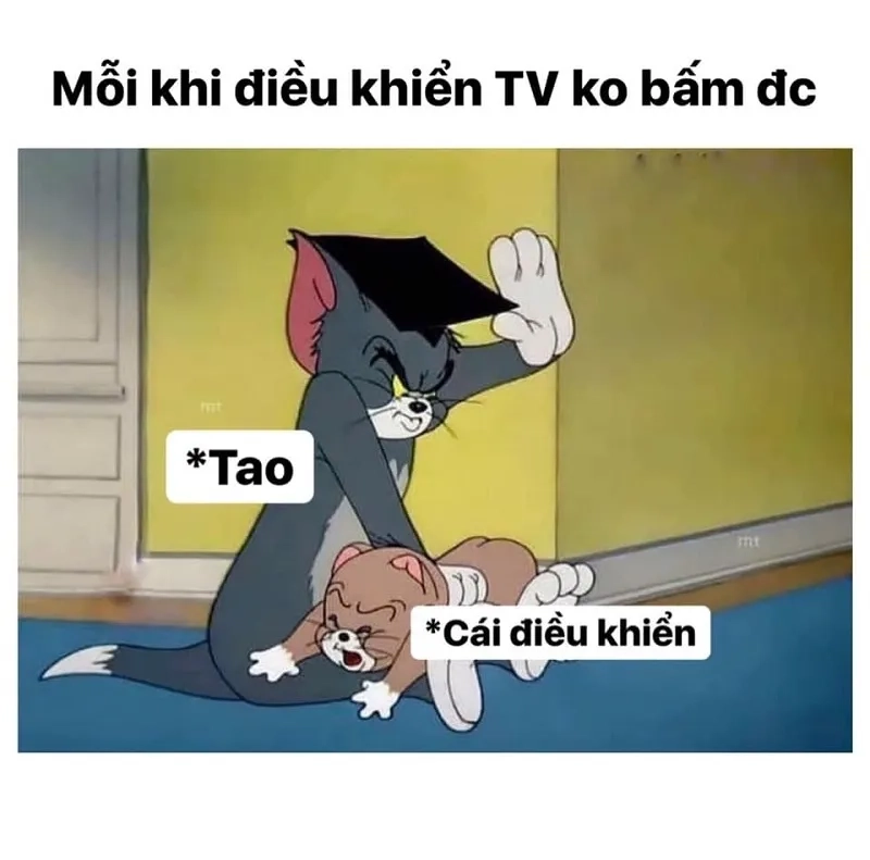 Tận hưởng những tình huống ngớ ngẩn trong Tom Jerry meme đầy kịch tính!