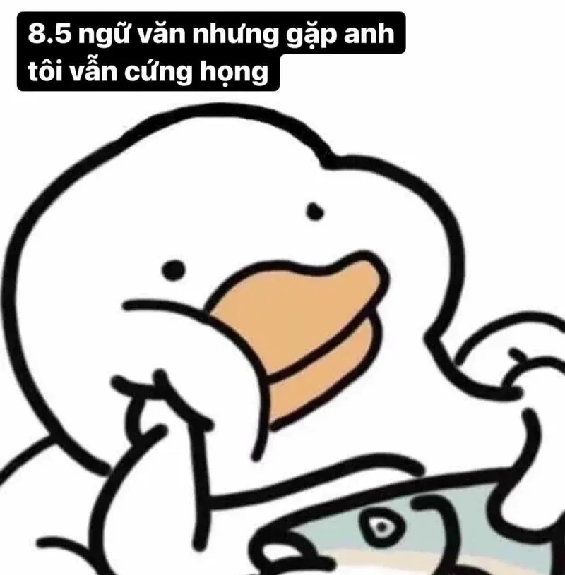 Meme vịt cute weibo đang gây sốt, biểu cảm dễ thương khó cưỡng.