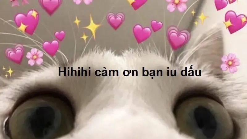 Cảm ơn thầy cô và các bạn meme – Kỷ niệm học đường đầy ý nghĩa.