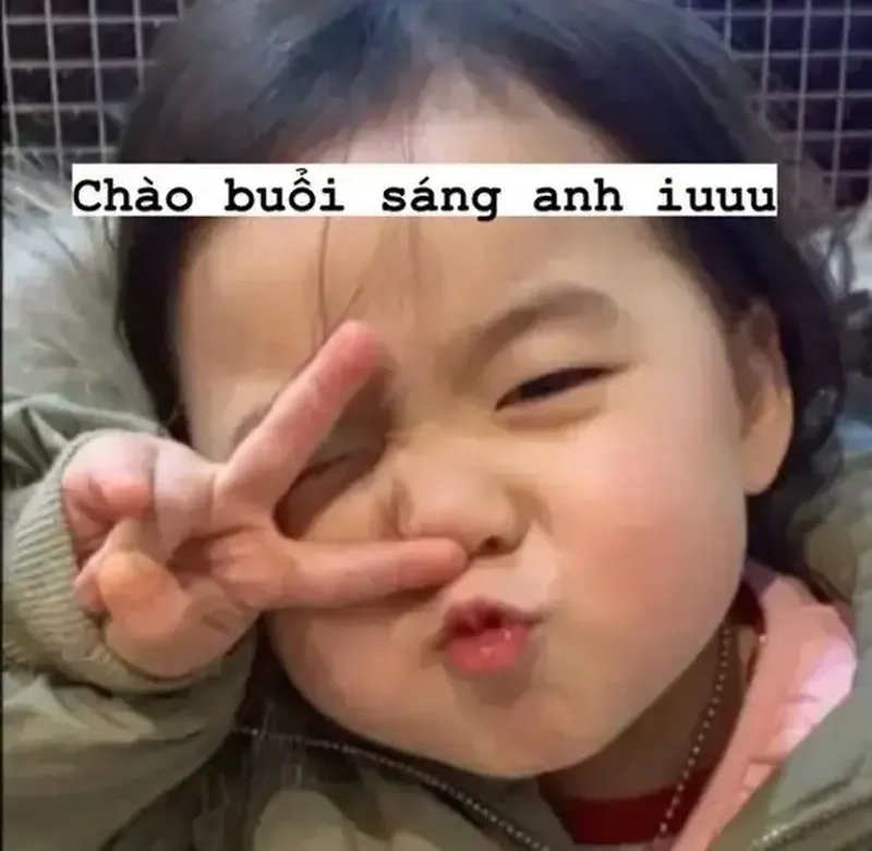 Ảnh chào meme độc đáo, tạo thiện cảm ngay từ ánh nhìn đầu tiên.