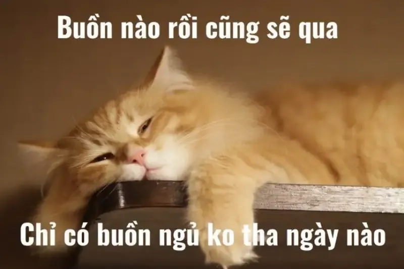 Meme ngủ cute đầy sáng tạo, lý tưởng để chia sẻ với bạn bè.