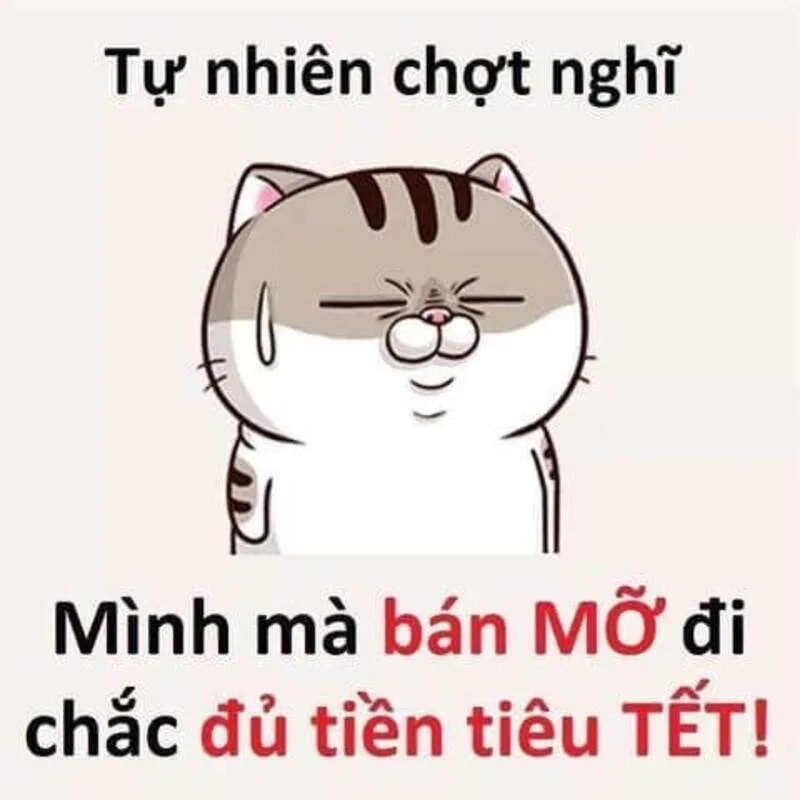 Meme Tết mèo ngộ nghĩnh, mang niềm vui bất tận dịp Tết.