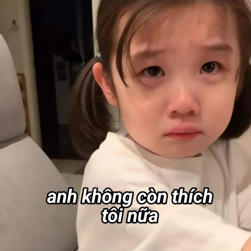 Meme ghế tình yêu đưa bạn vào thế giới ngọt ngào, lãng mạn không thể bỏ qua.