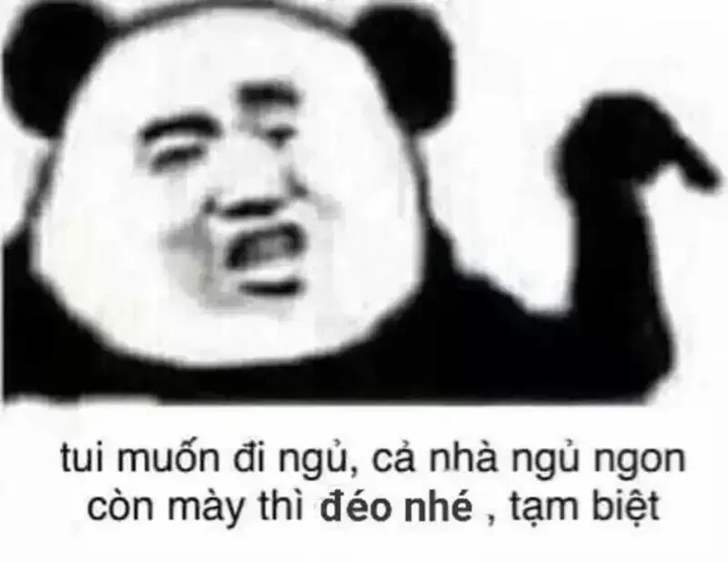 Meme mới ngủ dậy cực dễ thương, giúp bạn cảm thấy tỉnh táo và vui vẻ ngay sáng sớm.