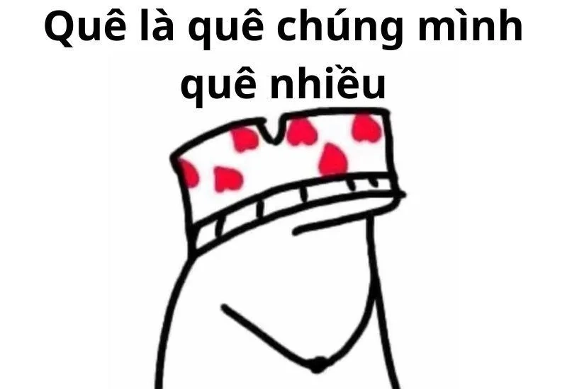 Meme chim trong quần siêu ngộ nghĩnh, đem lại tiếng cười không thể cưỡng lại.