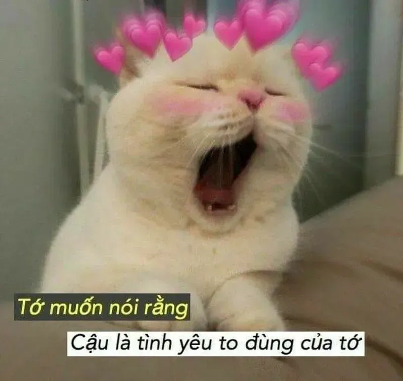 Meme yêu 1 người vô tâm phản ánh những cảm xúc buồn trong tình yêu với sự hài hước.