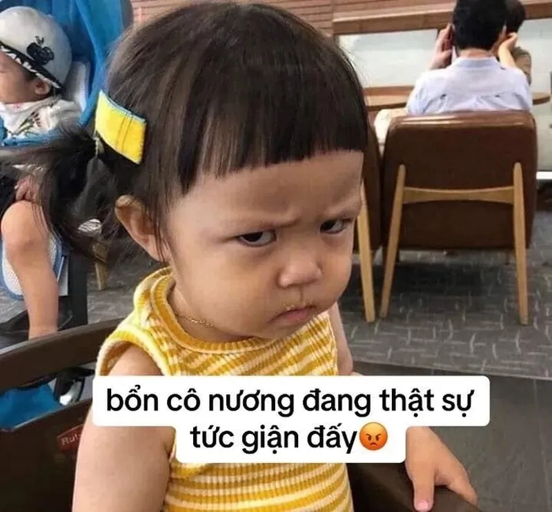 Những khoảnh khắc ảnh meme tức giận chân thực và siêu vui nhộn.