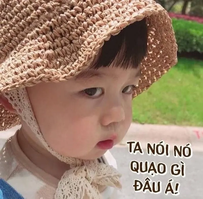 Cảm xúc tức á được truyền tải qua meme cực độc lạ và siêu hài.