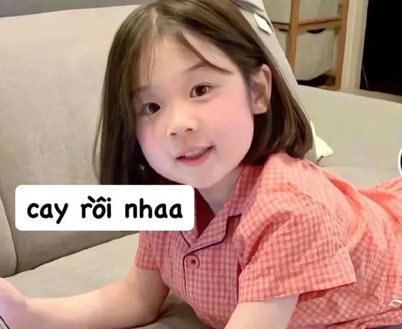 Những lúc mất ngủ vì tức, hãy thử dùng meme để xả stress.