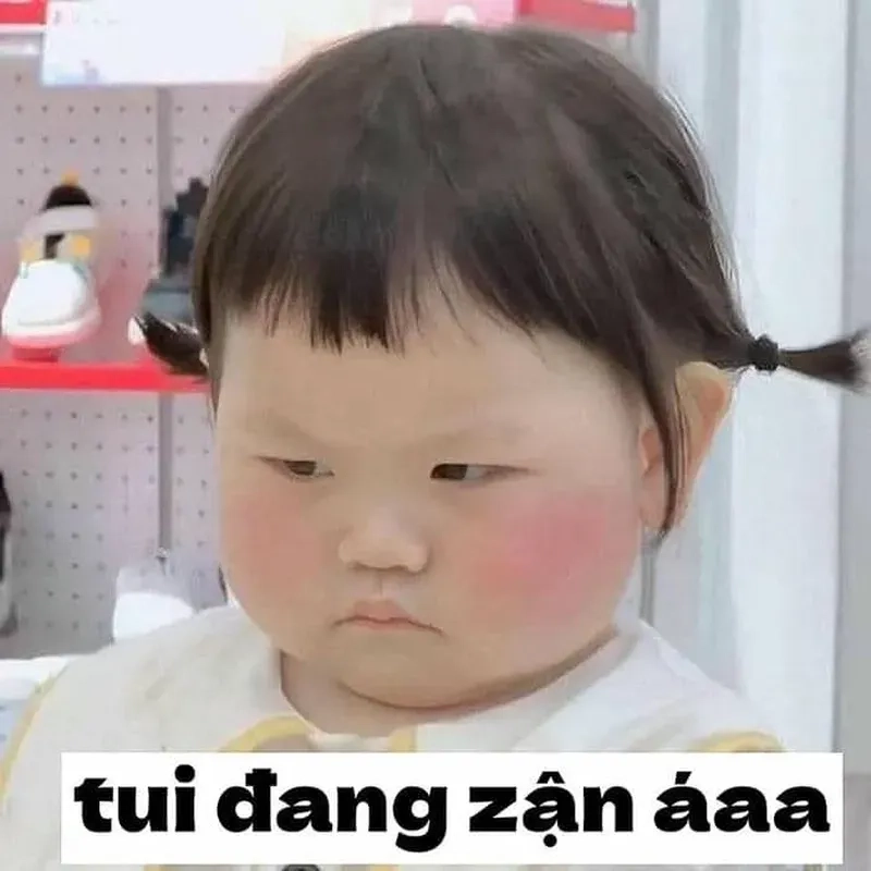 Hình ảnh dỗi hờn đáng yêu nhất từ meme mèo tức giận.