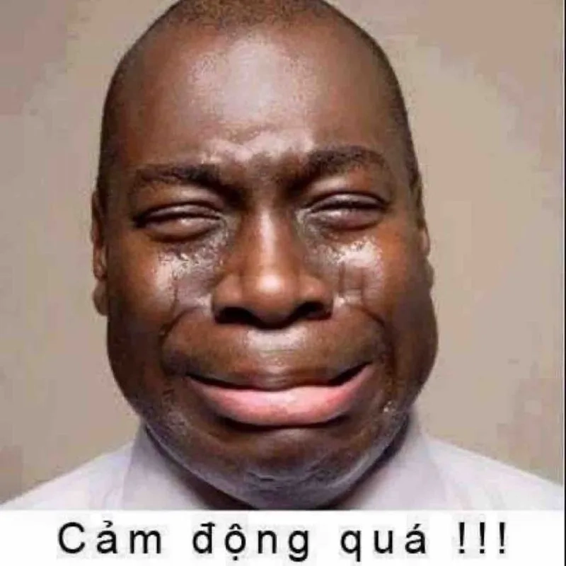 Cười sảng khoái với những meme vui quá cực kỳ hài hước và dí dỏm.